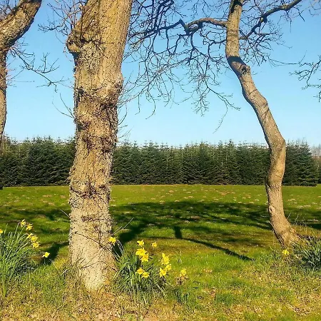 55 Person Holiday In Prázdninový dům *
